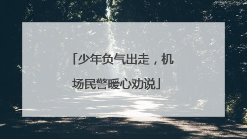 少年负气出走，机场民警暖心劝说