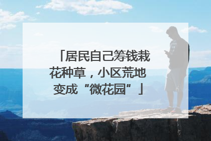 居民自己筹钱栽花种草，小区荒地变成“微花园”
