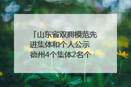 山东省双拥模范先进集体和个人公示 德州4个集体2名个人拟受表彰