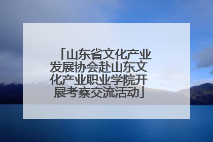 山东省文化产业发展协会赴山东文化产业职业学院开展考察交流活动