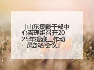 山东援藏干部中心管理组召开2025年援藏工作动员部署会议