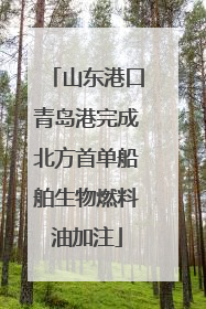 山东港口青岛港完成北方首单船舶生物燃料油加注
