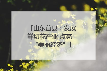 山东莒县：发展鲜切花产业 点亮“美丽经济”