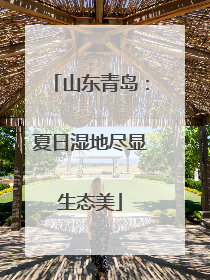 山东青岛：夏日湿地尽显生态美