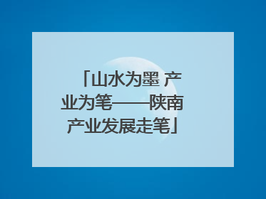 山水为墨 产业为笔——陕南产业发展走笔