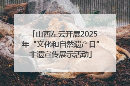 山西左云开展2025年“文化和自然遗产日”非遗宣传展示活动