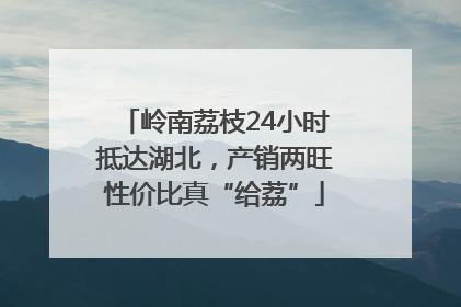 岭南荔枝24小时抵达湖北，产销两旺性价比真“给荔”