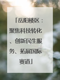 岳阳楼区：聚焦科技转化、创新民生服务、拓展国际赛道