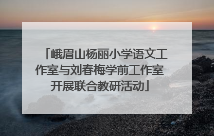 峨眉山杨丽小学语文工作室与刘春梅学前工作室开展联合教研活动