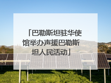 巴勒斯坦驻华使馆举办声援巴勒斯坦人民活动