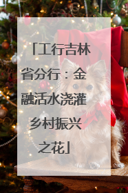 工行吉林省分行：金融活水浇灌 乡村振兴之花