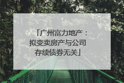 广州富力地产：拟变卖房产与公司存续债券无关