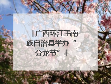 广西环江毛南族自治县举办“分龙节”