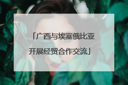 广西与埃塞俄比亚开展经贸合作交流