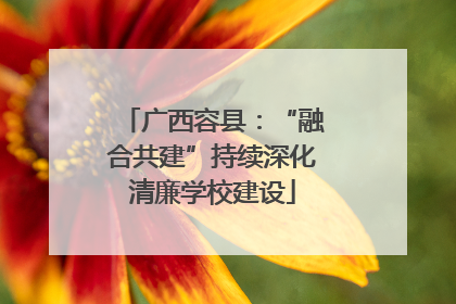 广西容县：“融合共建”持续深化清廉学校建设