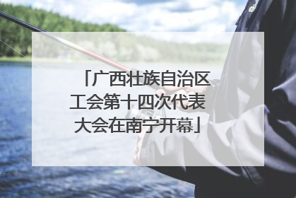 广西壮族自治区工会第十四次代表大会在南宁开幕