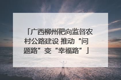 广西柳州靶向监督农村公路建设 推动“问题路”变“幸福路”