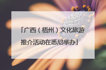 广西（梧州）文化旅游推介活动在悉尼举办