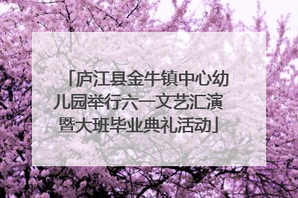 庐江县金牛镇中心幼儿园举行六一文艺汇演暨大班毕业典礼活动