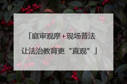 庭审观摩+现场普法 让法治教育更“直观”