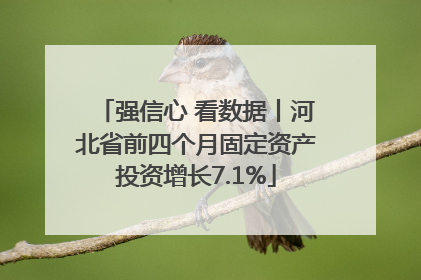 强信心 看数据丨河北省前四个月固定资产投资增长7.1%