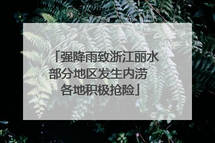 强降雨致浙江丽水部分地区发生内涝 各地积极抢险