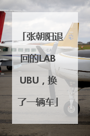 张朝阳退回的LABUBU，换了一辆车
