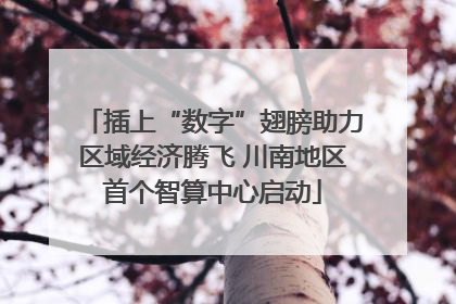 插上“数字”翅膀助力区域经济腾飞 川南地区首个智算中心启动