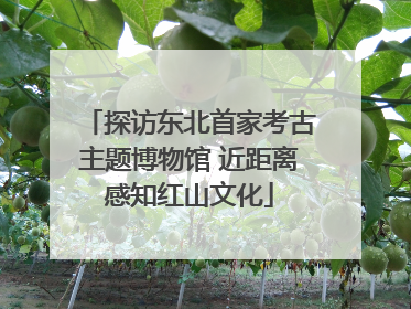 探访东北首家考古主题博物馆 近距离感知红山文化