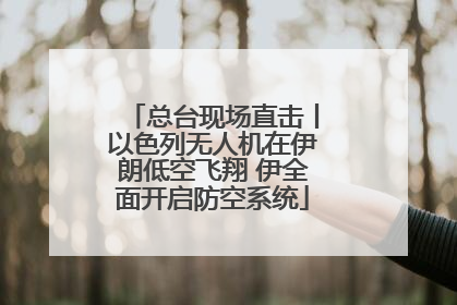 总台现场直击丨以色列无人机在伊朗低空飞翔 伊全面开启防空系统