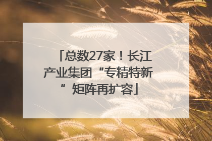 总数27家！长江产业集团“专精特新”矩阵再扩容