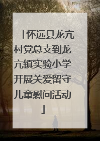 怀远县龙亢村党总支到龙亢镇实验小学开展关爱留守儿童慰问活动