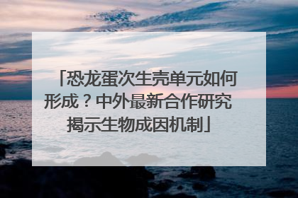 恐龙蛋次生壳单元如何形成？中外最新合作研究揭示生物成因机制
