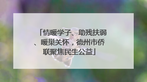 情暖学子、助残扶弱、暖巢关怀，德州市侨联聚焦民生公益