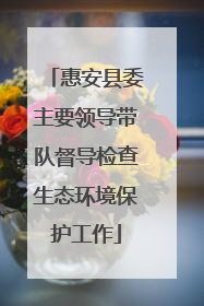 惠安县委主要领导带队督导检查生态环境保护工作