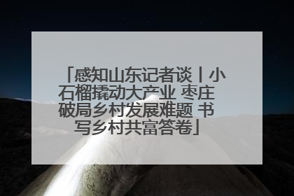 感知山东记者谈丨小石榴撬动大产业 枣庄破局乡村发展难题 书写乡村共富答卷