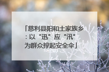 慈利县阳和土家族乡：以“迅”应“汛” 为群众撑起安全伞