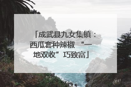 成武县九女集镇：西瓜套种辣椒 “一地双收”巧致富