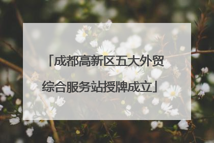 成都高新区五大外贸综合服务站授牌成立