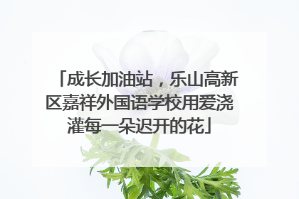 成长加油站，乐山高新区嘉祥外国语学校用爱浇灌每一朵迟开的花