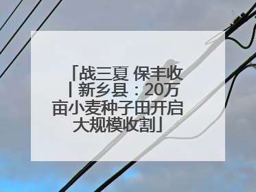 战三夏 保丰收丨新乡县：20万亩小麦种子田开启大规模收割