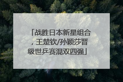 战胜日本新星组合，王楚钦/孙颖莎晋级世乒赛混双四强