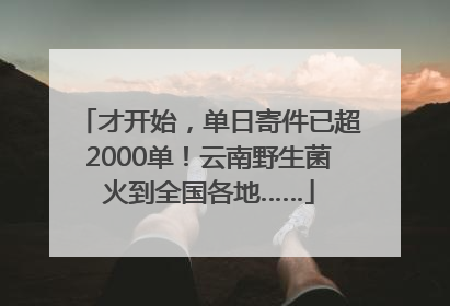 才开始，单日寄件已超2000单！云南野生菌火到全国各地……