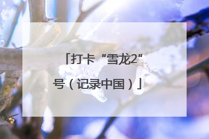 打卡“雪龙2”号（记录中国）