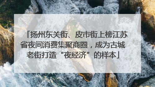 扬州东关街、皮市街上榜江苏省夜间消费集聚商圈，成为古城老街打造“夜经济”的样本