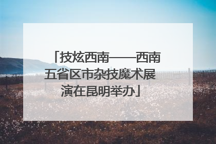 技炫西南——西南五省区市杂技魔术展演在昆明举办