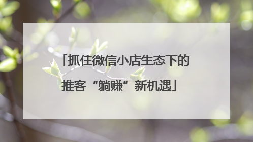 抓住微信小店生态下的推客“躺赚”新机遇