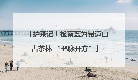 护茶记！检察蓝为景迈山古茶林 “把脉开方”