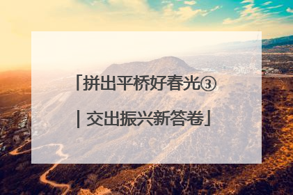 拼出平桥好春光③｜交出振兴新答卷