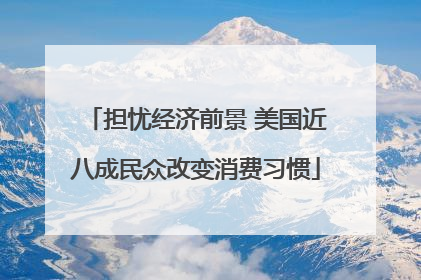 担忧经济前景 美国近八成民众改变消费习惯